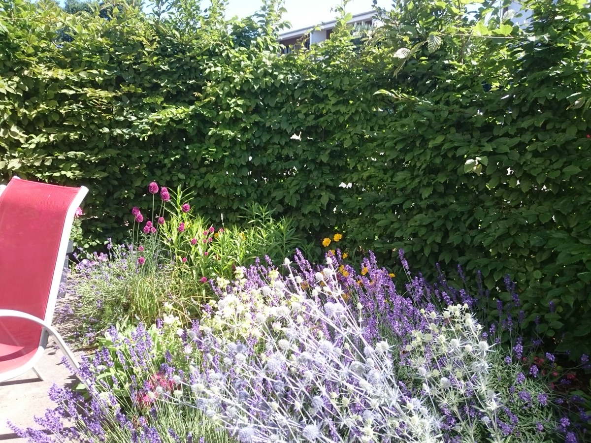 Das kleine Strandglück - Ferienwohnung in Grömitz
